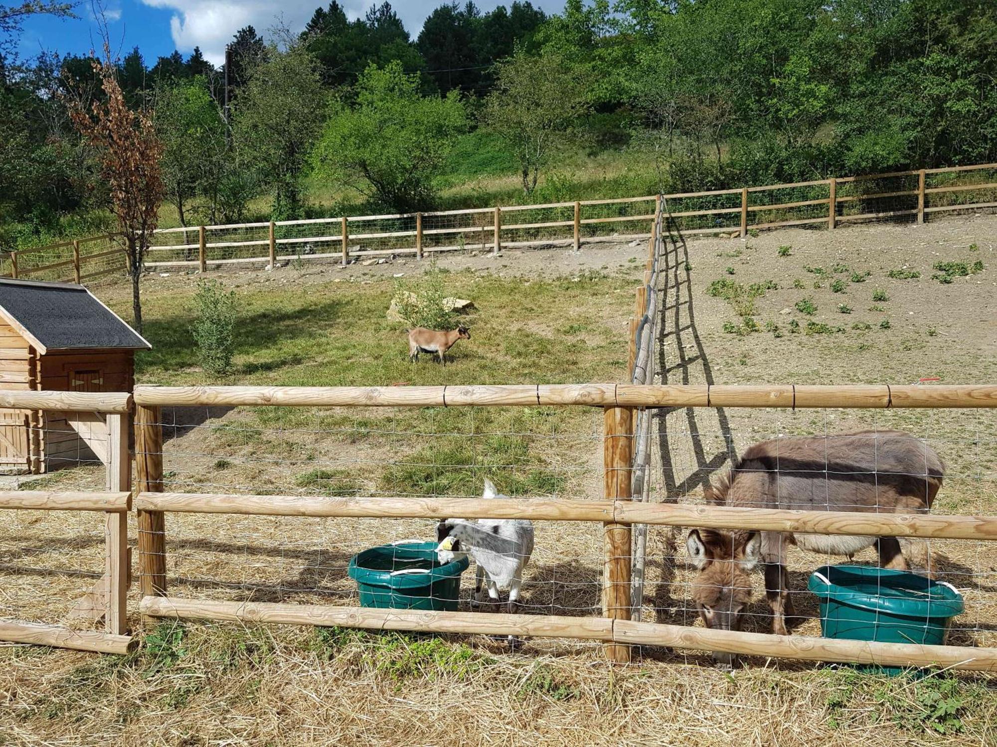 Camping La Ferme De Castellane Ngoại thất bức ảnh
