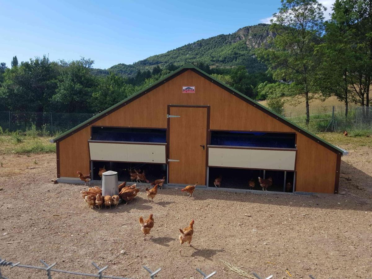 Camping La Ferme De Castellane Ngoại thất bức ảnh