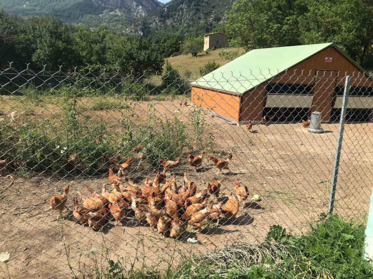 Camping La Ferme De Castellane Ngoại thất bức ảnh