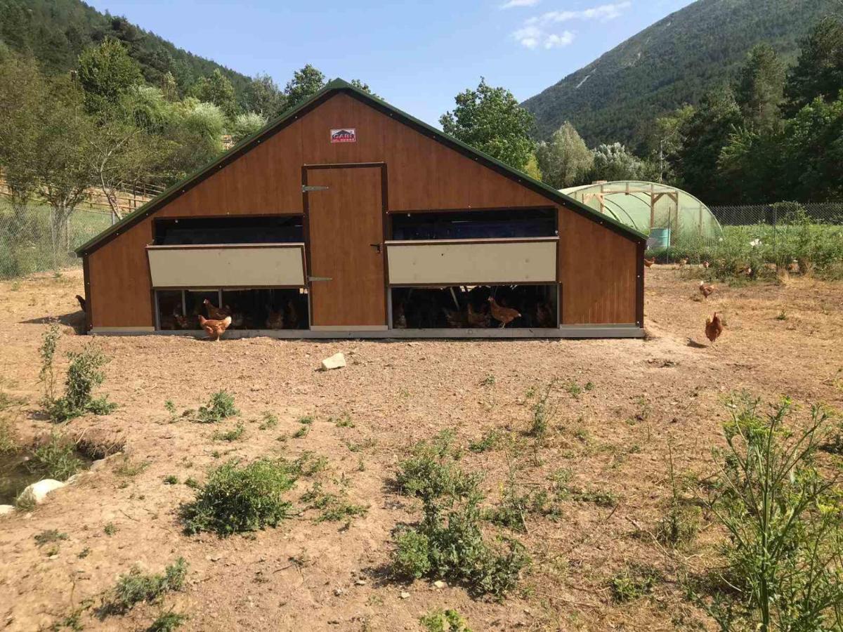 Camping La Ferme De Castellane Ngoại thất bức ảnh