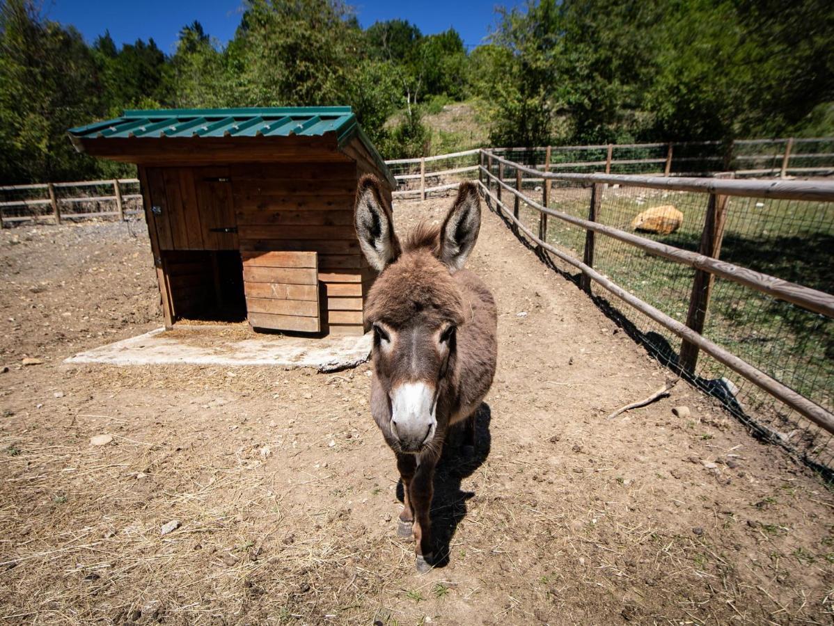 Camping La Ferme De Castellane Ngoại thất bức ảnh